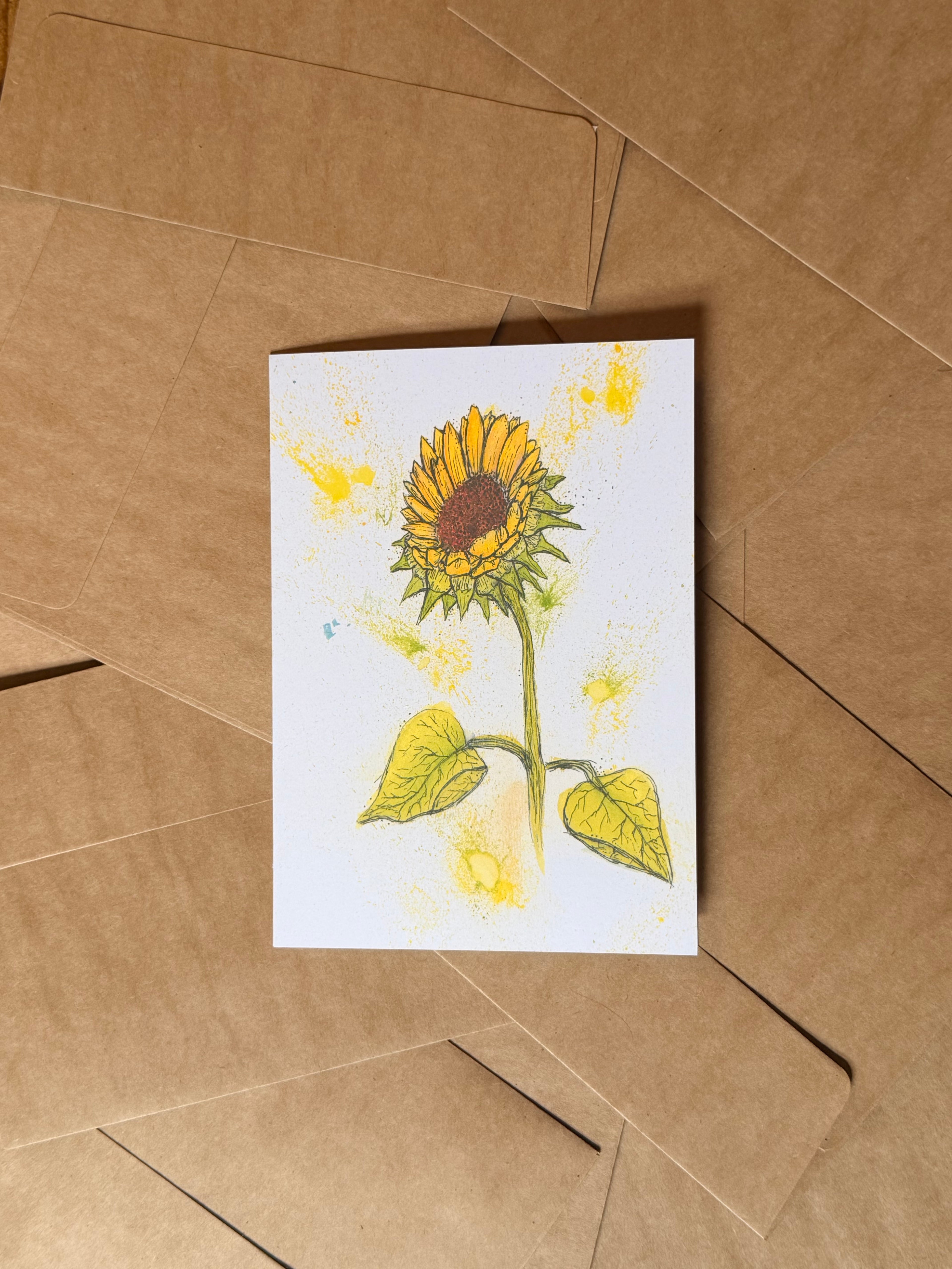 sunflower