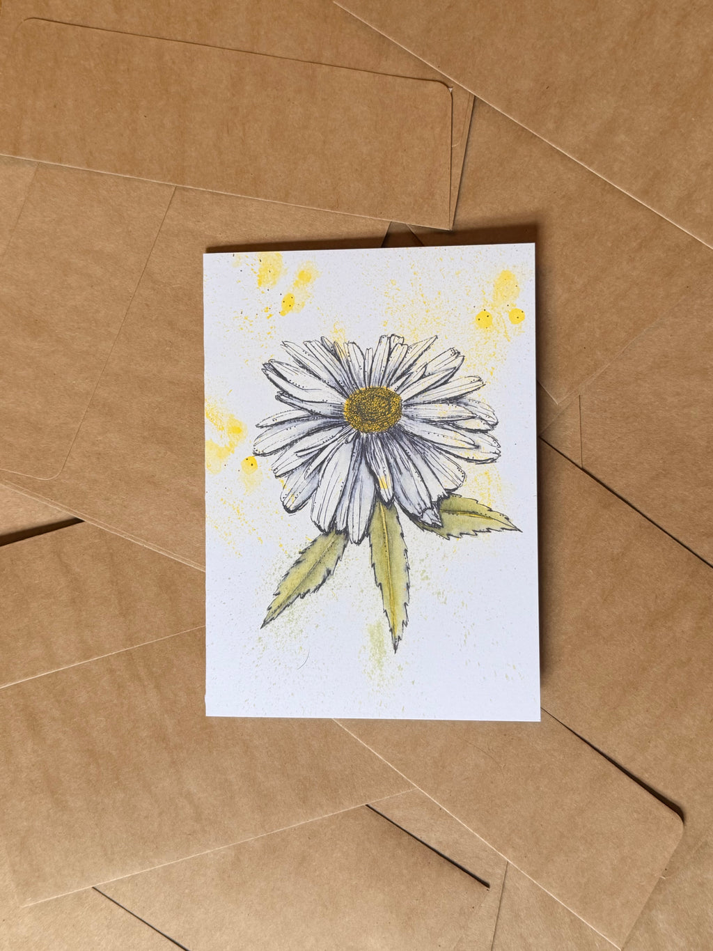 daisy