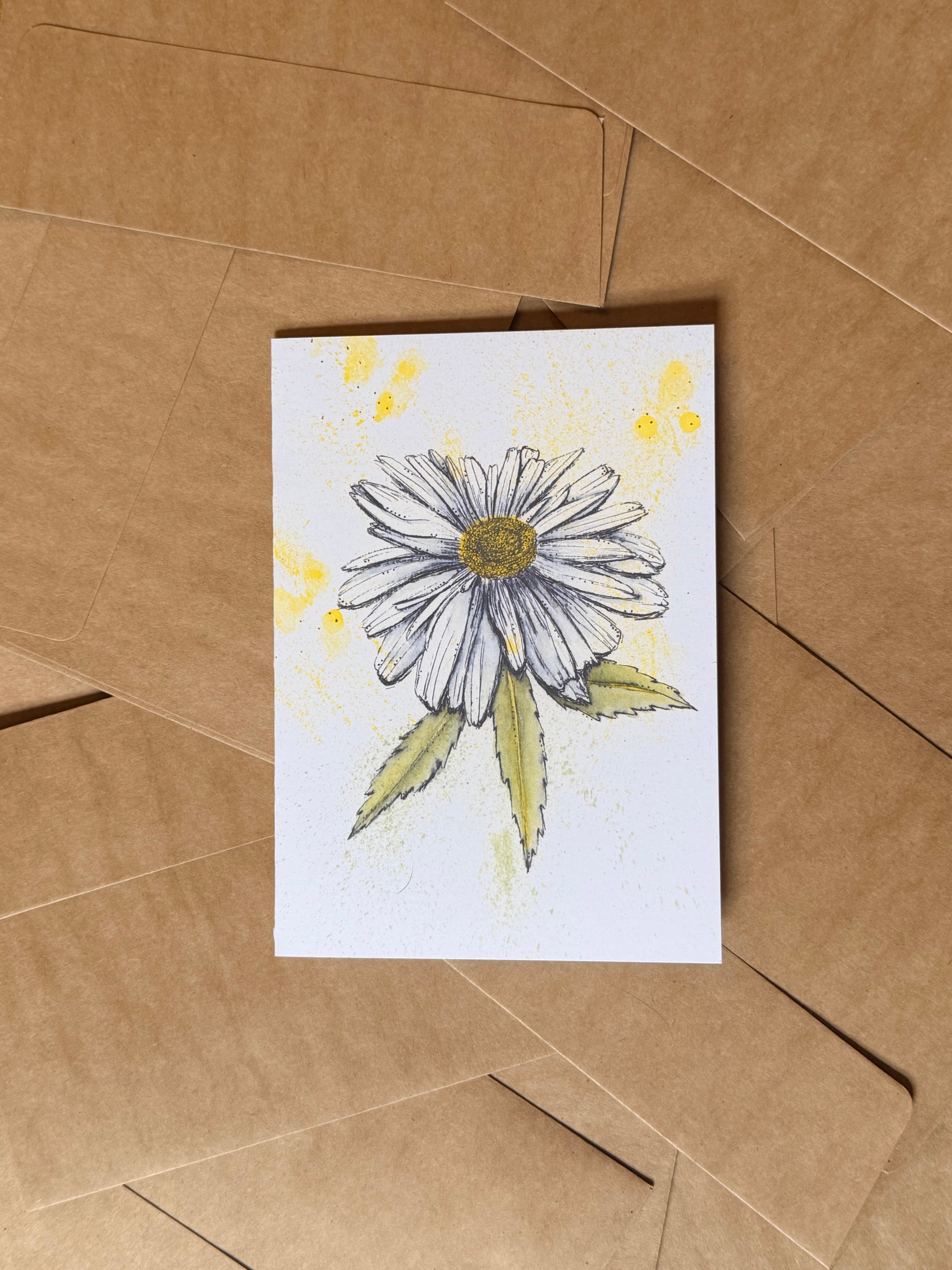 daisy